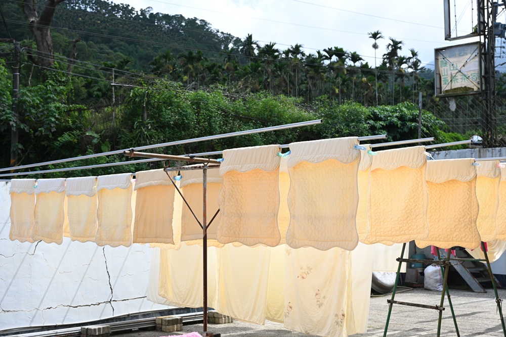 雲林古坑好好玩！雲林古坑美食、DIY烘豆體驗、住宿推薦！探索咖啡山城的慢活魅力！