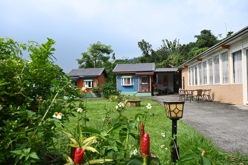 雲林古坑好好玩！雲林古坑美食、DIY烘豆體驗、住宿推薦！探索咖啡山城的慢活魅力！