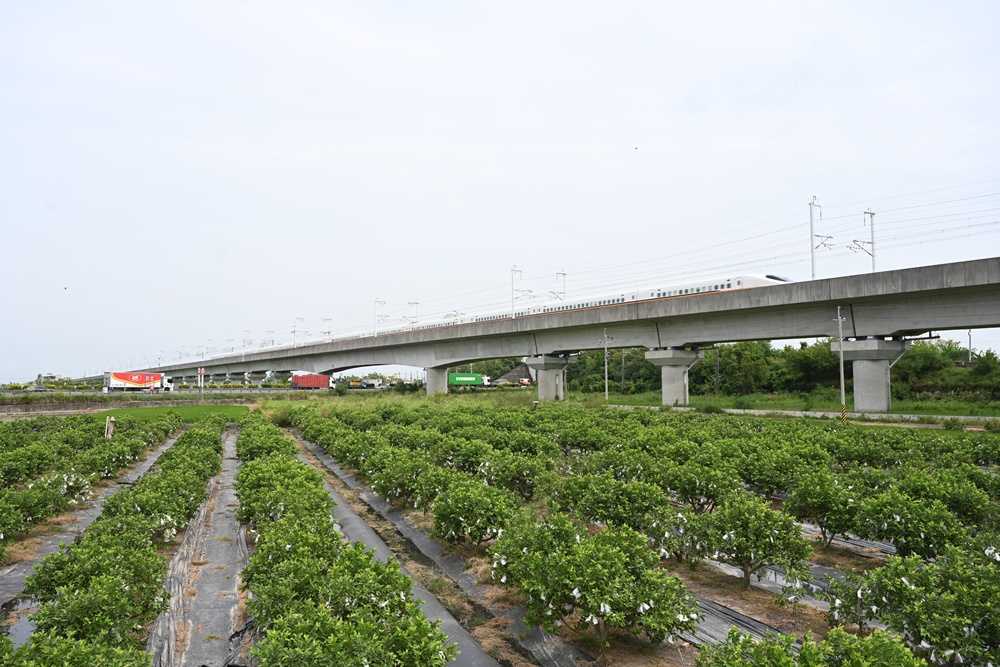 台南後壁金牌農村一日遊｜米香有約，「稻」後壁旅行！採芭樂、撿雞蛋、絹印臉譜帆布袋DIY、俗女餐桌全攻略！