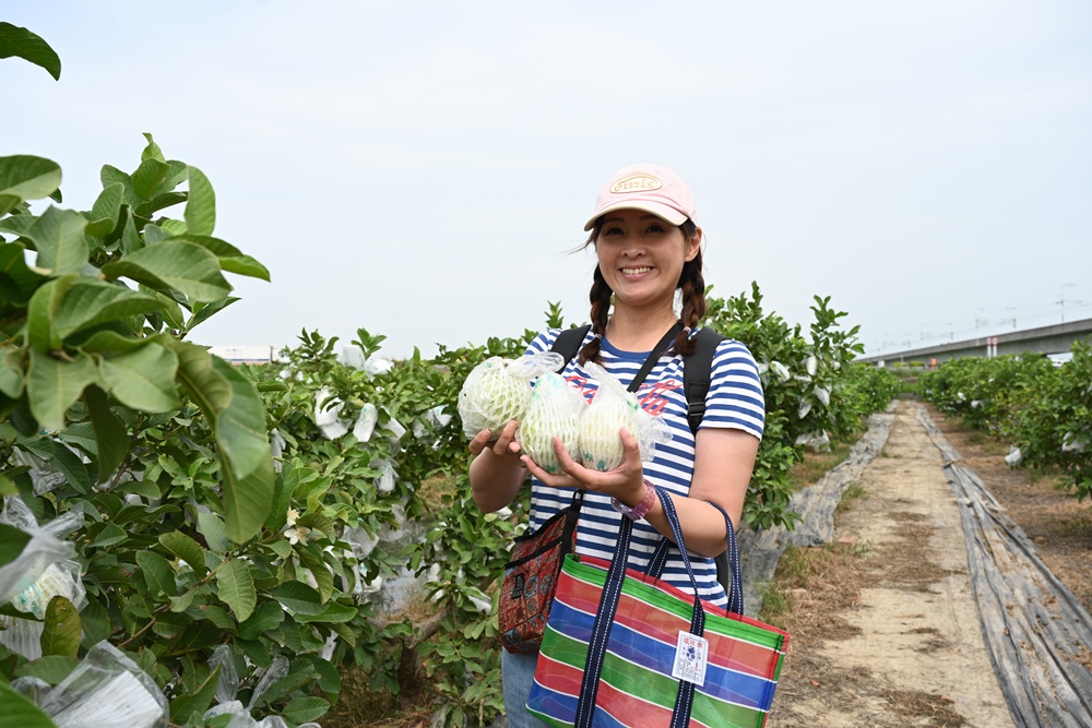 台南後壁金牌農村一日遊｜米香有約，「稻」後壁旅行！採芭樂、撿雞蛋、絹印臉譜帆布袋DIY、俗女餐桌全攻略！