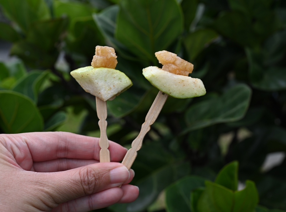 台南後壁金牌農村一日遊｜米香有約，「稻」後壁旅行！採芭樂、撿雞蛋、絹印臉譜帆布袋DIY、俗女餐桌全攻略！