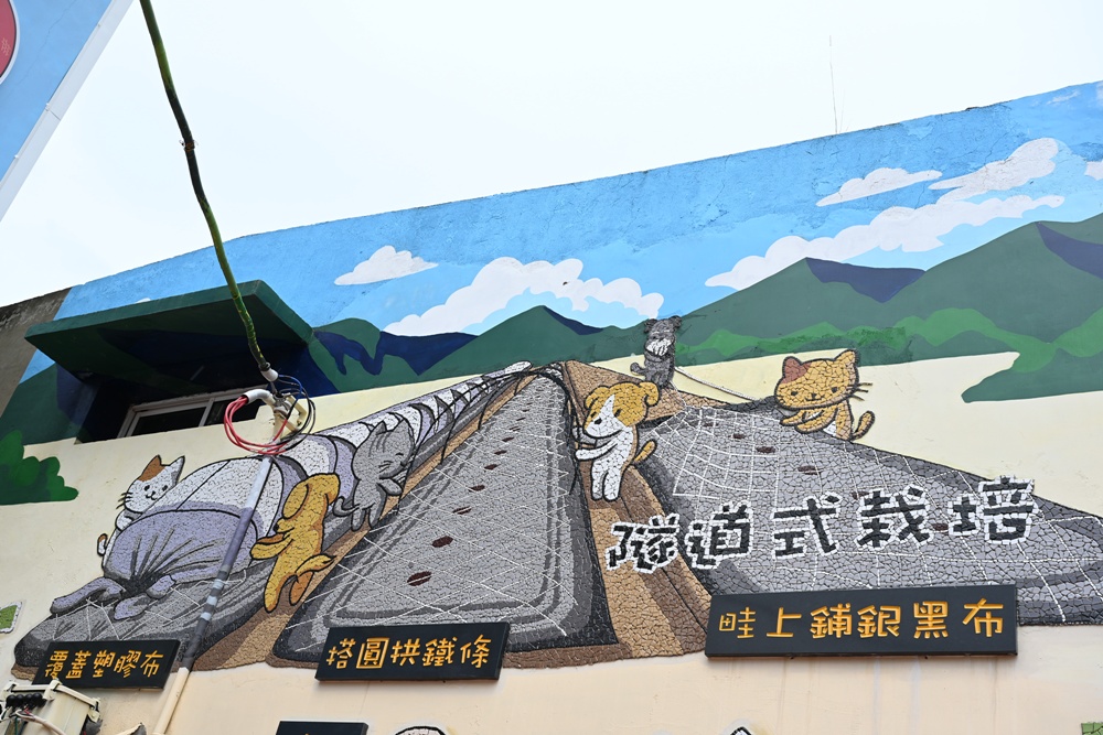 台南後壁金牌農村一日遊｜米香有約，「稻」後壁旅行！採芭樂、撿雞蛋、絹印臉譜帆布袋DIY、俗女餐桌全攻略！