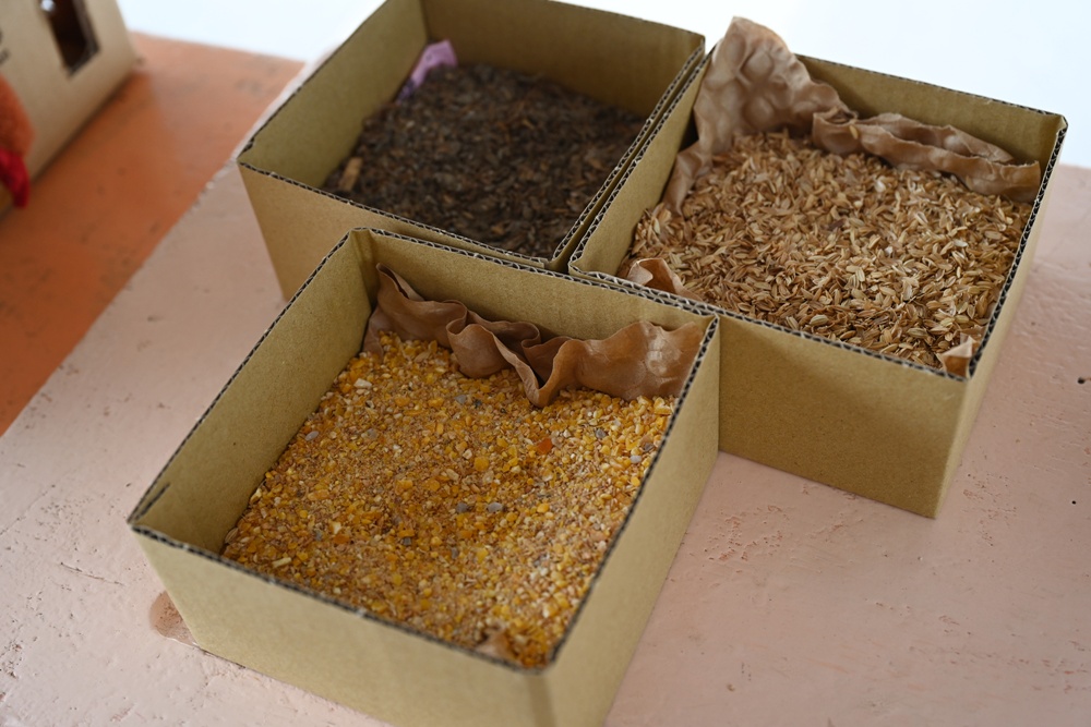 台南後壁金牌農村一日遊｜米香有約，「稻」後壁旅行！採芭樂、撿雞蛋、絹印臉譜帆布袋DIY、俗女餐桌全攻略！