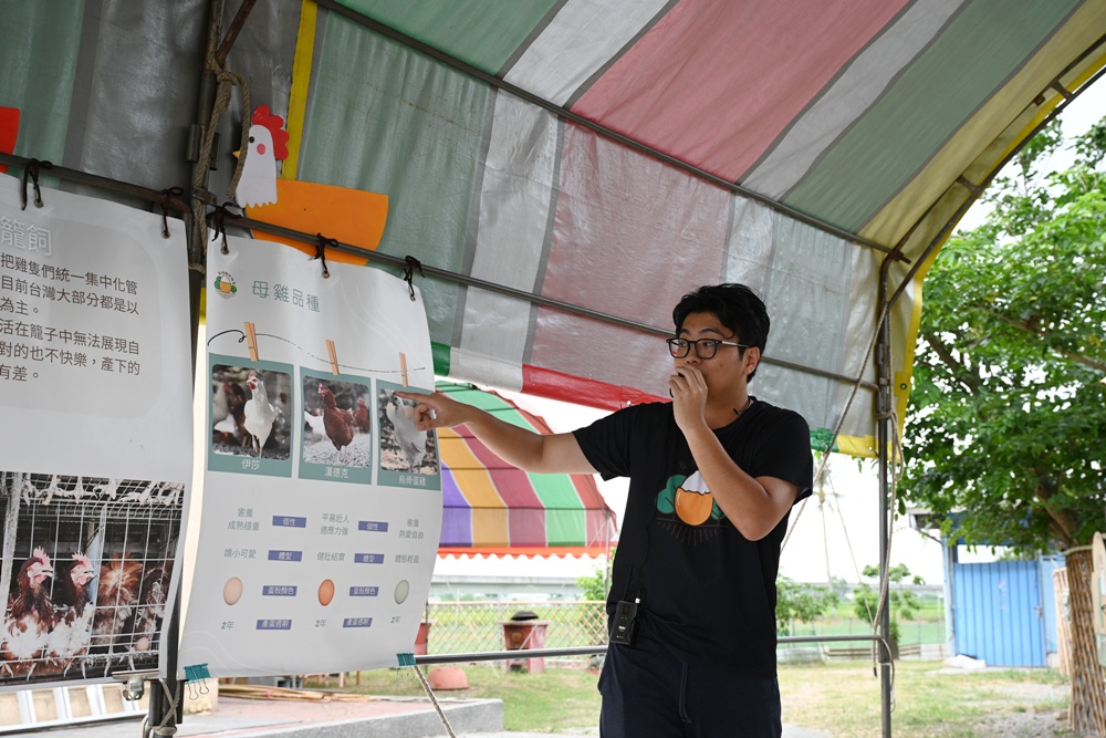 台南後壁金牌農村一日遊｜米香有約，「稻」後壁旅行！採芭樂、撿雞蛋、絹印臉譜帆布袋DIY、俗女餐桌全攻略！