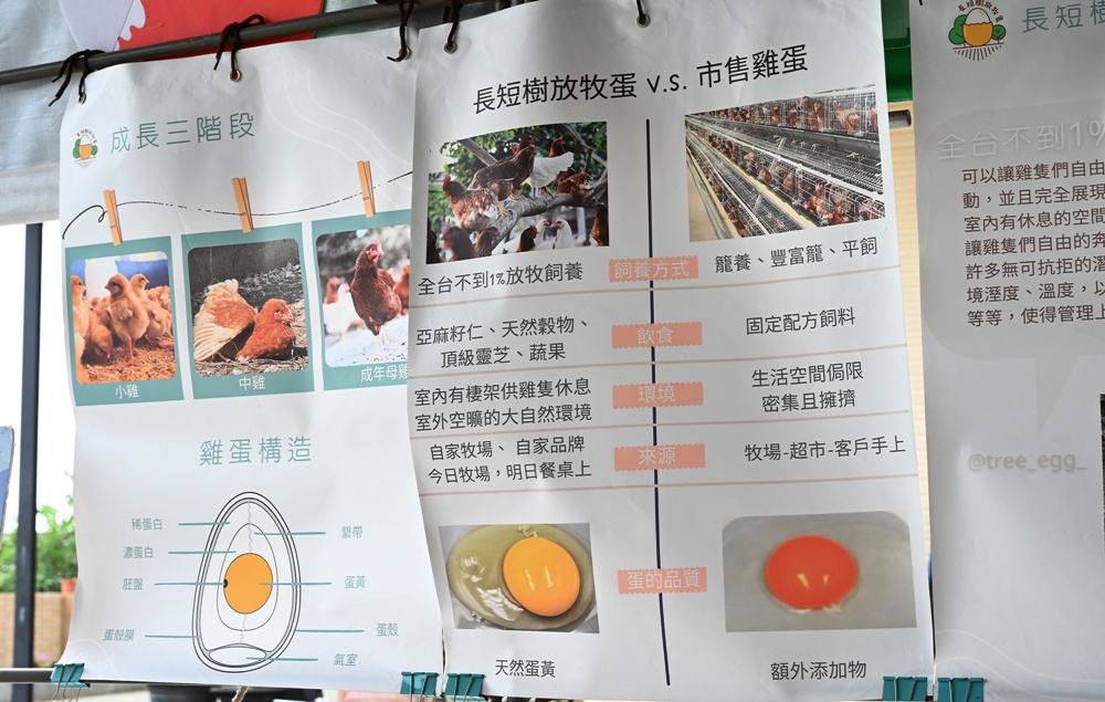 台南後壁金牌農村一日遊｜米香有約，「稻」後壁旅行！採芭樂、撿雞蛋、絹印臉譜帆布袋DIY、俗女餐桌全攻略！