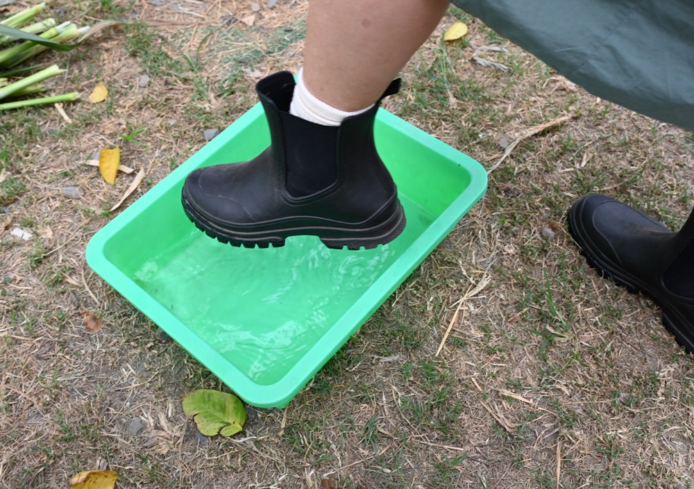 台南後壁金牌農村一日遊｜米香有約，「稻」後壁旅行！採芭樂、撿雞蛋、絹印臉譜帆布袋DIY、俗女餐桌全攻略！