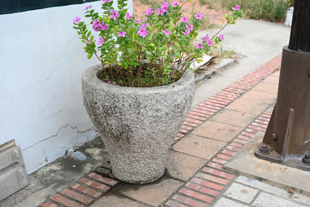 台南一日遊。走讀菁寮老街、後壁俗女村 感受純樸農村的慢時光與人情味！
