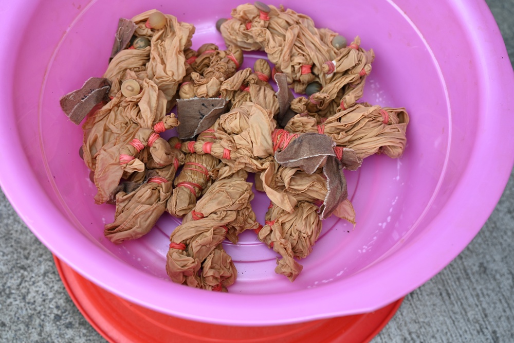 台南金牌農村一日遊｜蓮香藝遊．田園到漁村 一次走訪白河、善化、北門 DIY手作、美食饗宴全攻略！