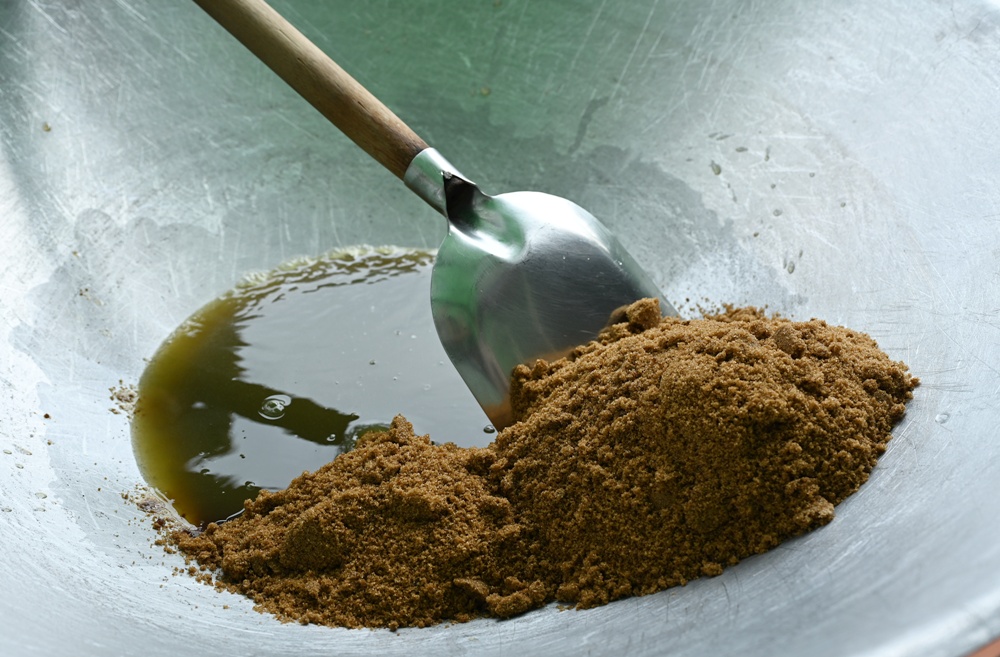 台南金牌農村一日遊｜蓮香藝遊．田園到漁村 一次走訪白河、善化、北門 DIY手作、美食饗宴全攻略！