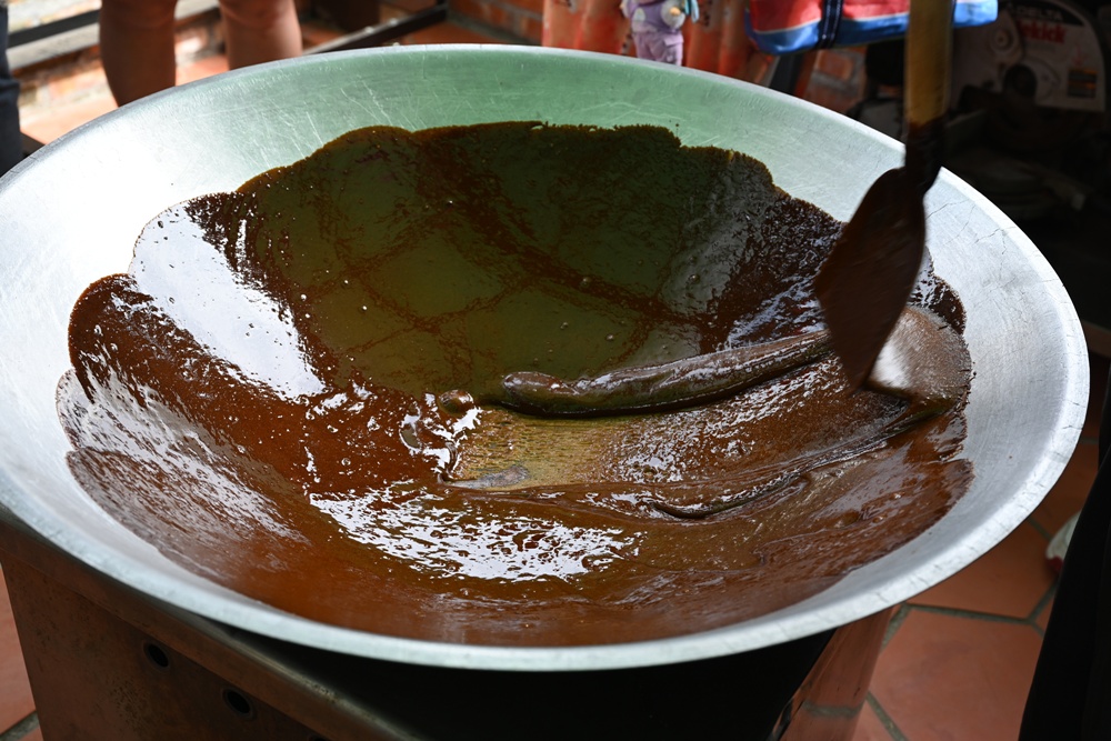 台南金牌農村一日遊｜蓮香藝遊．田園到漁村 一次走訪白河、善化、北門 DIY手作、美食饗宴全攻略！