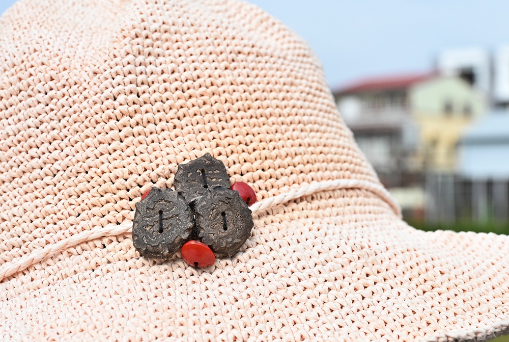 台南金牌農村一日遊｜蓮香藝遊．田園到漁村 一次走訪白河、善化、北門 DIY手作、美食饗宴全攻略！