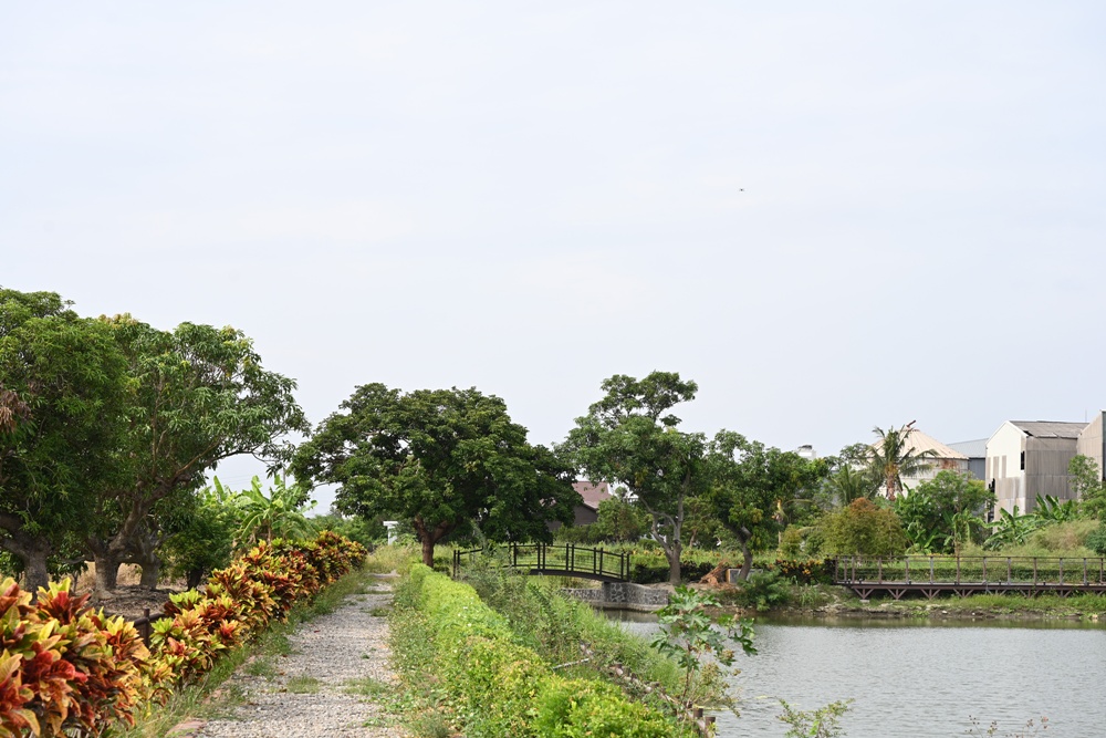 台南金牌農村一日遊｜蓮香藝遊．田園到漁村 一次走訪白河、善化、北門 DIY手作、美食饗宴全攻略！