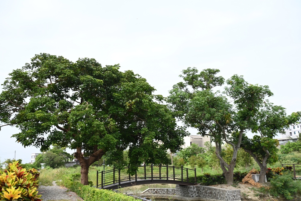 台南金牌農村一日遊｜蓮香藝遊．田園到漁村 一次走訪白河、善化、北門 DIY手作、美食饗宴全攻略！