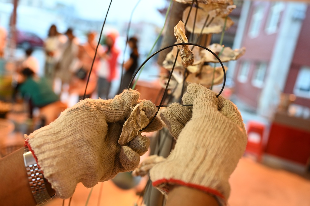 台南金牌農村一日遊｜蓮香藝遊．田園到漁村 一次走訪白河、善化、北門 DIY手作、美食饗宴全攻略！