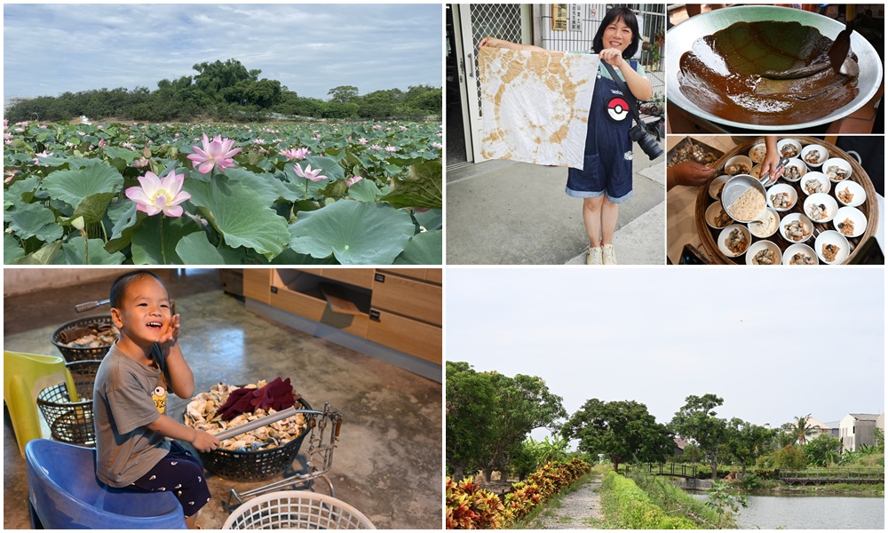 台南金牌農村一日遊｜蓮香藝遊．田園到漁村 一次走訪白河、善化、北門 DIY手作、美食饗宴全攻略！