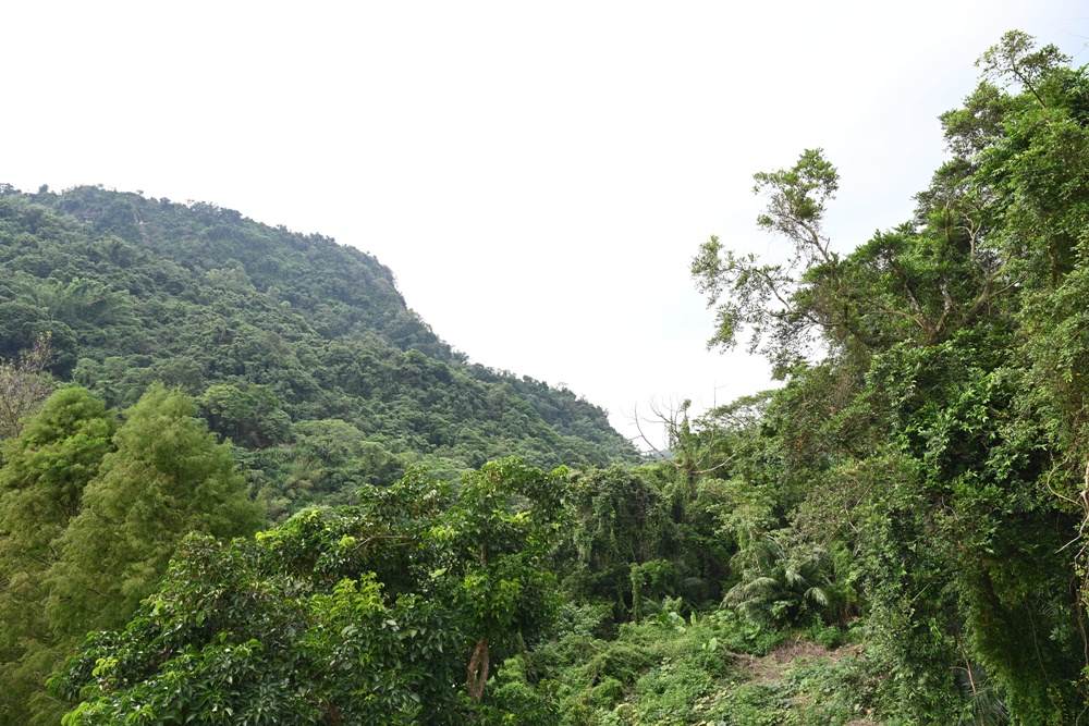 台南關子嶺新景點｜森之湯脈衝SPA親子水樂園 無邊際spa溫泉、關子嶺泥漿溫泉！