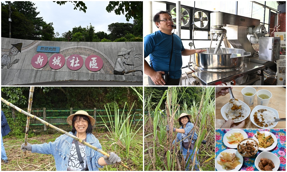新竹金牌農村一日遊｜新城社區 寶山新城風糖 蔗糖農事體驗、砍甘蔗、DIY黑糖粉圓、甘蔗冰沙、割稻飯！