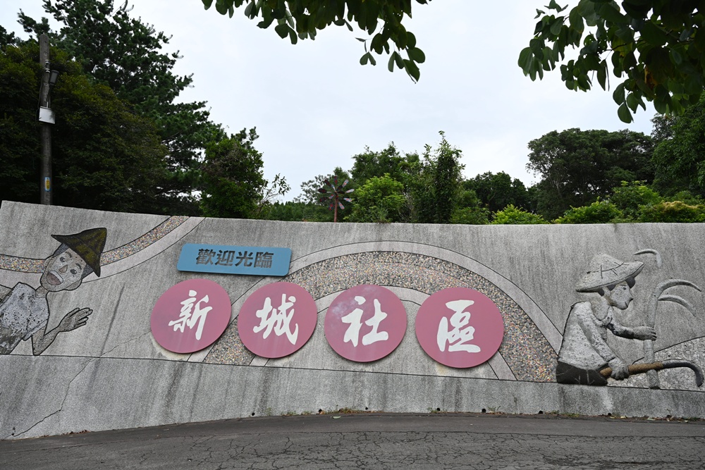 新竹金牌農村一日遊｜新城社區 寶山新城風糖 蔗糖農事體驗、砍甘蔗、DIY黑糖粉圓、甘蔗冰沙、割稻飯！