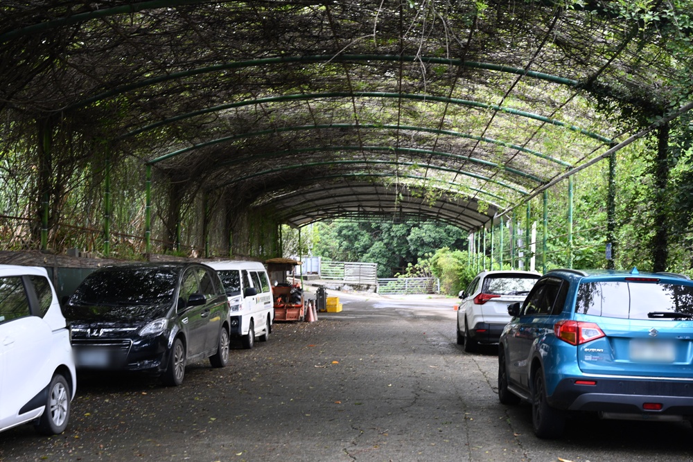 新竹金牌農村一日遊｜新城社區 寶山新城風糖 蔗糖農事體驗、砍甘蔗、DIY黑糖粉圓、甘蔗冰沙、割稻飯！