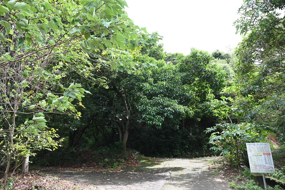 新竹金牌農村一日遊｜新城社區 寶山新城風糖 蔗糖農事體驗、砍甘蔗、DIY黑糖粉圓、甘蔗冰沙、割稻飯！