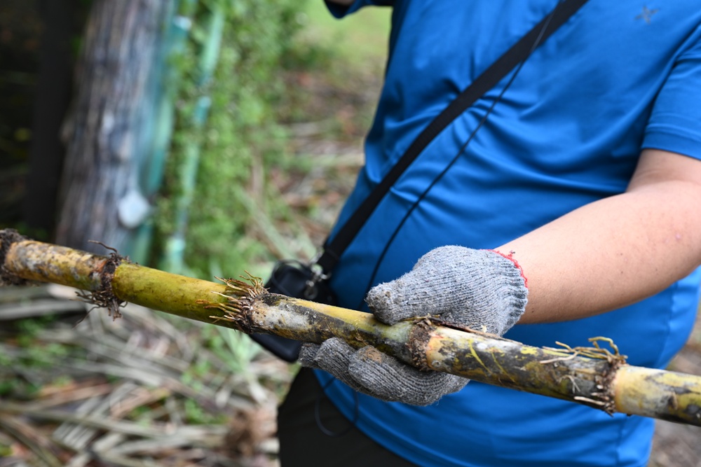 新竹金牌農村一日遊｜新城社區 寶山新城風糖 蔗糖農事體驗、砍甘蔗、DIY黑糖粉圓、甘蔗冰沙、割稻飯！