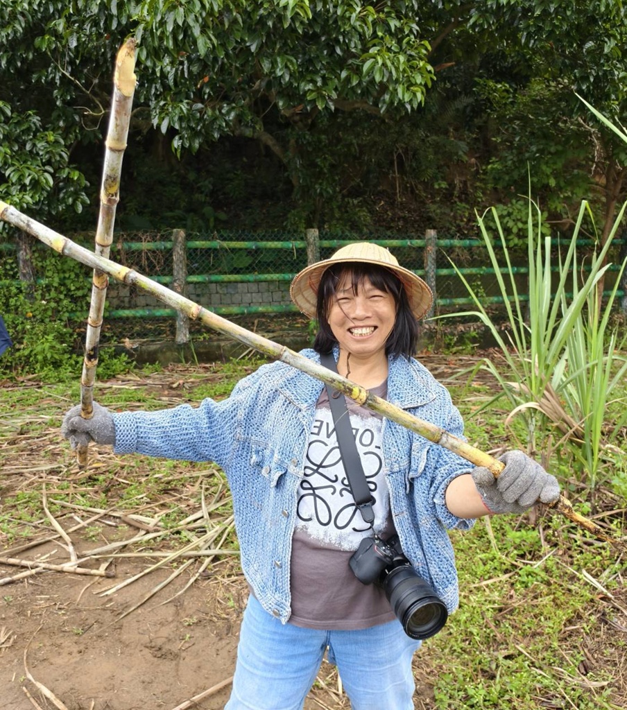 新竹金牌農村一日遊｜新城社區 寶山新城風糖 蔗糖農事體驗、砍甘蔗、DIY黑糖粉圓、甘蔗冰沙、割稻飯！