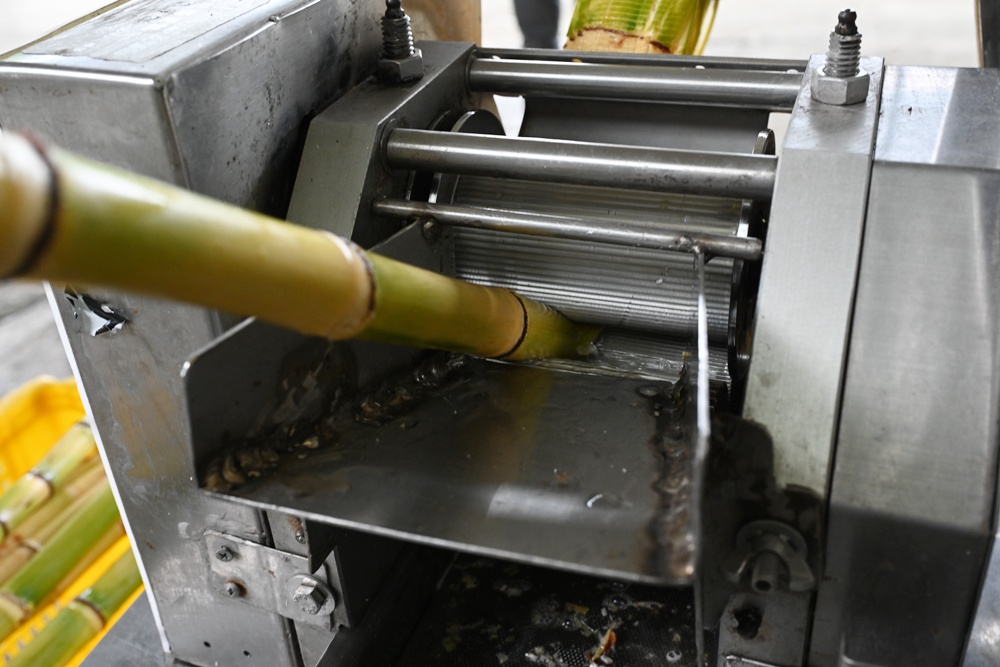 新竹金牌農村一日遊｜新城社區 寶山新城風糖 蔗糖農事體驗、砍甘蔗、DIY黑糖粉圓、甘蔗冰沙、割稻飯！