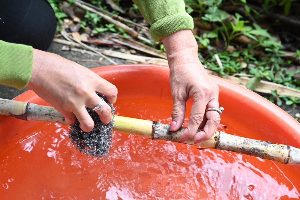 新竹金牌農村一日遊｜新城社區 寶山新城風糖 蔗糖農事體驗、砍甘蔗、DIY黑糖粉圓、甘蔗冰沙、割稻飯！