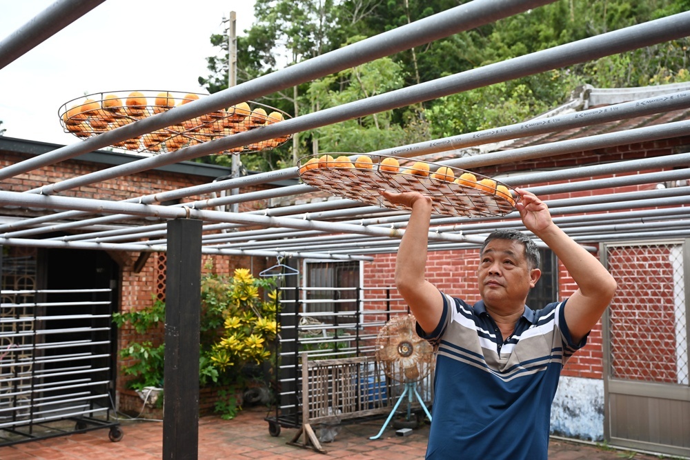 新竹金牌農村一日遊｜旱坑社區 金漢柿餅教育農園 認識柿子、懂柿、剪黏美學工藝DIY！