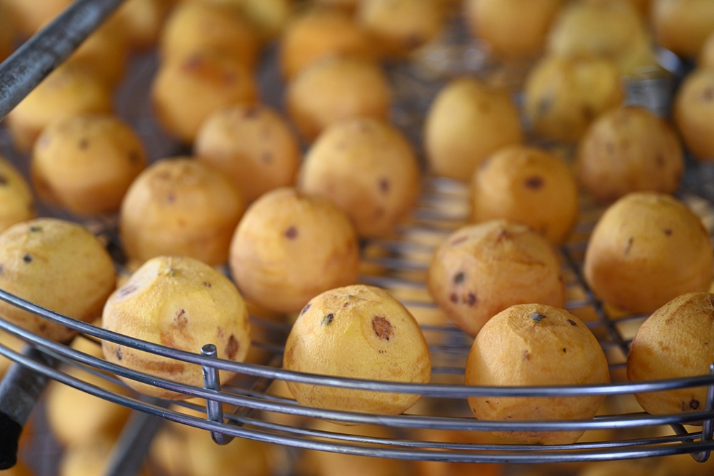 新竹金牌農村一日遊|旱坑社區 金漢柿餅教育農園 認識柿子、懂柿、剪黏美學工藝DIY! 新竹金牌農村一日遊|旱坑社區 金漢柿餅教育農園 認識柿子、懂柿、剪黏美學工藝DIY!