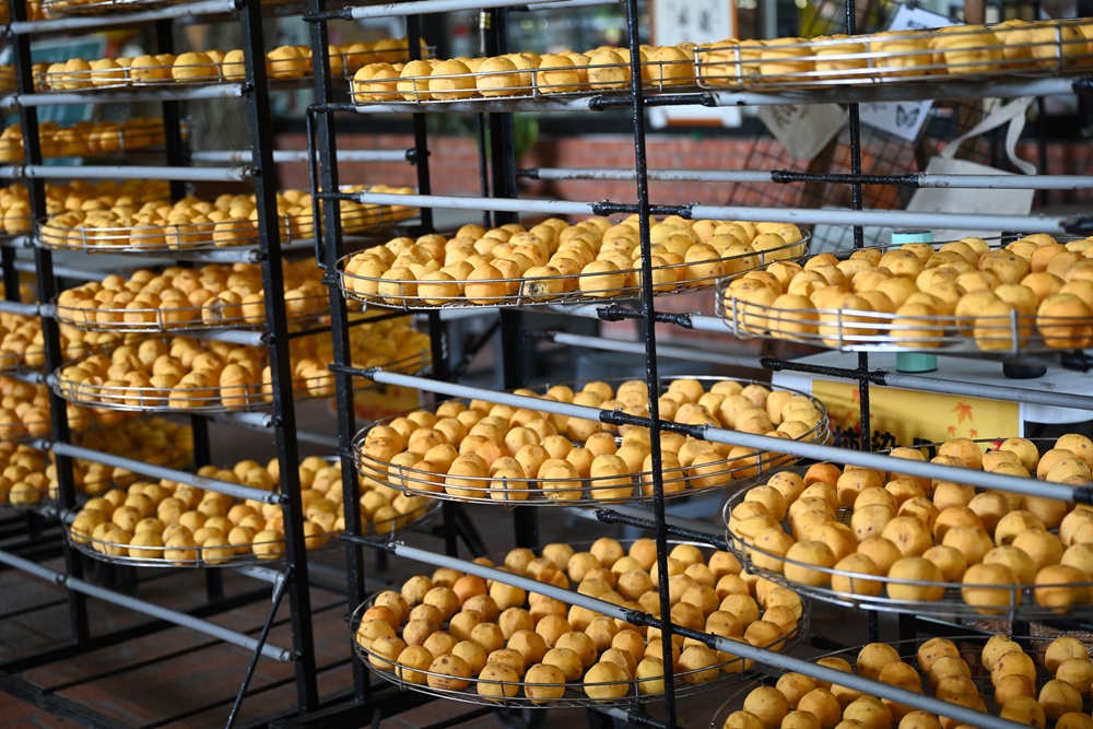 新竹金牌農村一日遊|旱坑社區 金漢柿餅教育農園 認識柿子、懂柿、剪黏美學工藝DIY! 新竹金牌農村一日遊|旱坑社區 金漢柿餅教育農園 認識柿子、懂柿、剪黏美學工藝DIY!