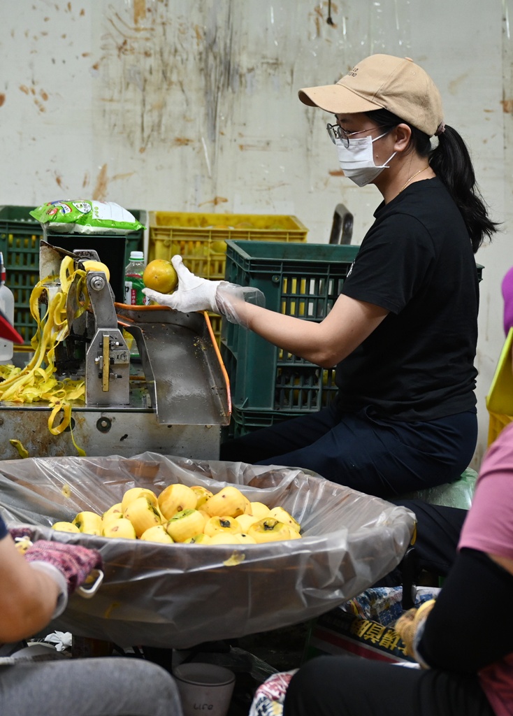新竹金牌農村一日遊|旱坑社區 金漢柿餅教育農園 認識柿子、懂柿、剪黏美學工藝DIY! 新竹金牌農村一日遊|旱坑社區 金漢柿餅教育農園 認識柿子、懂柿、剪黏美學工藝DIY!