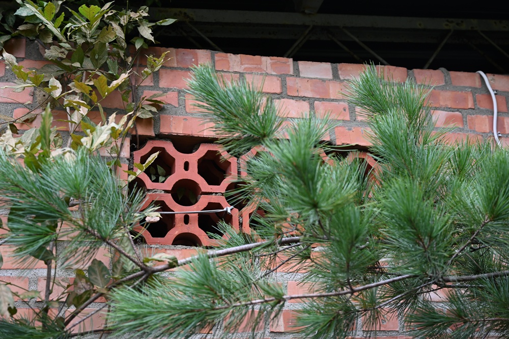 新竹金牌農村一日遊|旱坑社區 金漢柿餅教育農園 認識柿子、懂柿、剪黏美學工藝DIY! 新竹金牌農村一日遊|旱坑社區 金漢柿餅教育農園 認識柿子、懂柿、剪黏美學工藝DIY!