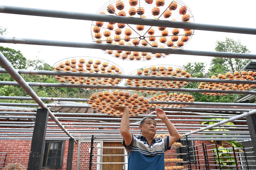 新竹金牌農村一日遊|旱坑社區 金漢柿餅教育農園 認識柿子、懂柿、剪黏美學工藝DIY! 新竹金牌農村一日遊|旱坑社區 金漢柿餅教育農園 認識柿子、懂柿、剪黏美學工藝DIY!