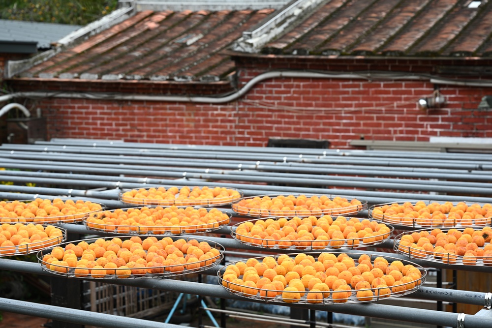 新竹金牌農村一日遊|旱坑社區 金漢柿餅教育農園 認識柿子、懂柿、剪黏美學工藝DIY! 新竹金牌農村一日遊|旱坑社區 金漢柿餅教育農園 認識柿子、懂柿、剪黏美學工藝DIY!