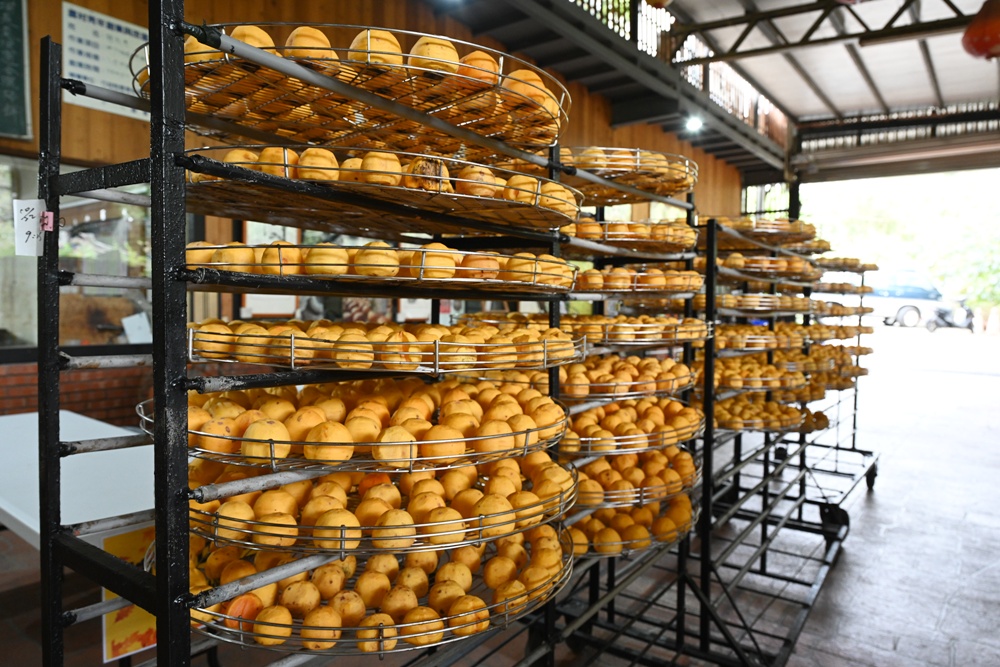 新竹金牌農村一日遊|旱坑社區 金漢柿餅教育農園 認識柿子、懂柿、剪黏美學工藝DIY! 新竹金牌農村一日遊|旱坑社區 金漢柿餅教育農園 認識柿子、懂柿、剪黏美學工藝DIY!