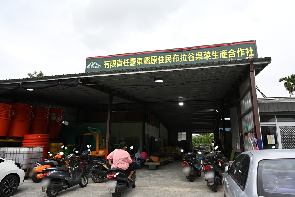 台東一日遊。布拉谷果菜生產合作社 苦茶籽油、祈福手作、樹豆茶包、一次滿足五感體驗! 台東一日遊。布拉谷果菜生產合作社 苦茶籽油、祈福手作、樹豆茶包、一次滿足五感體驗!