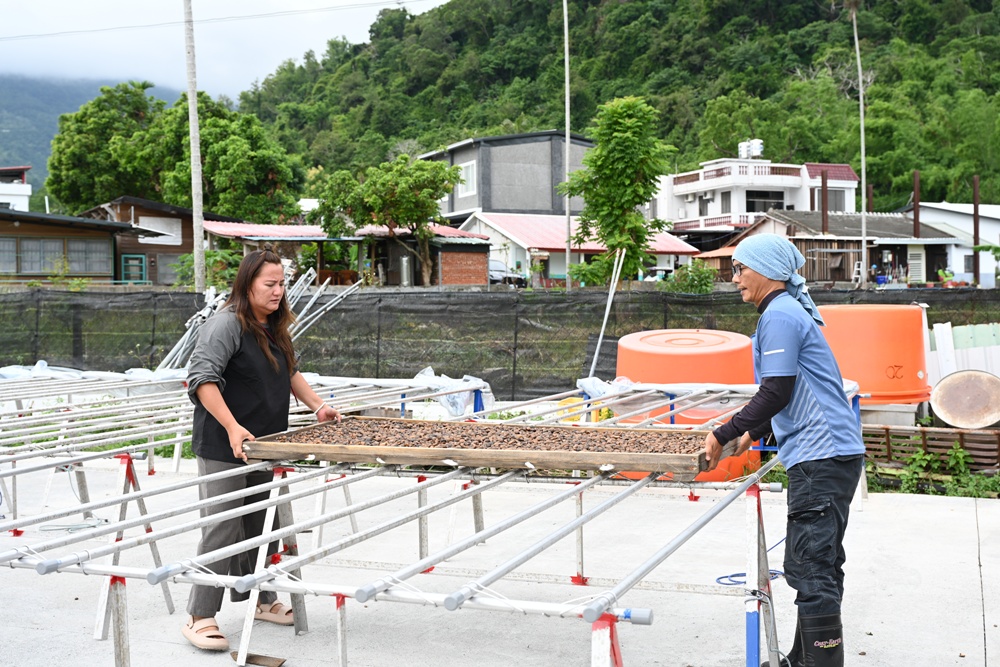 台東一日遊。布拉谷果菜生產合作社 苦茶籽油、祈福手作、樹豆茶包、一次滿足五感體驗! 台東一日遊。布拉谷果菜生產合作社 苦茶籽油、祈福手作、樹豆茶包、一次滿足五感體驗!