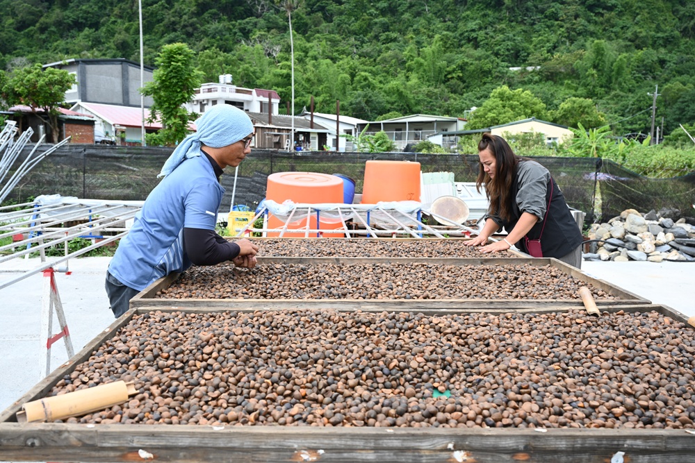 台東一日遊。布拉谷果菜生產合作社 苦茶籽油、祈福手作、樹豆茶包、一次滿足五感體驗! 台東一日遊。布拉谷果菜生產合作社 苦茶籽油、祈福手作、樹豆茶包、一次滿足五感體驗!