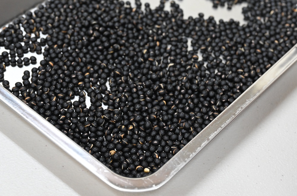 台東一日遊。布拉谷果菜生產合作社 苦茶籽油、祈福手作、樹豆茶包、一次滿足五感體驗! 台東一日遊。布拉谷果菜生產合作社 苦茶籽油、祈福手作、樹豆茶包、一次滿足五感體驗!