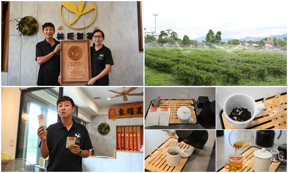 台東一日遊｜林旺製茶廠 茶園生態導覽、參觀茶廠、紅烏龍茶沖泡教學！