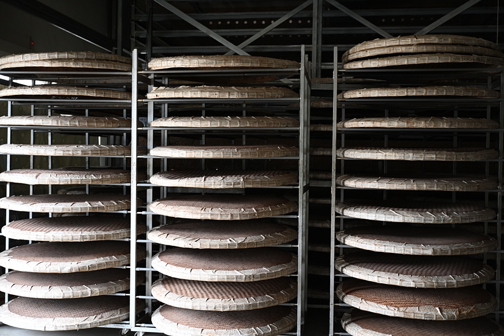 台東一日遊|林旺製茶廠 茶園生態導覽、參觀茶廠、紅烏龍茶沖泡教學! 台東一日遊|林旺製茶廠 茶園生態導覽、參觀茶廠、紅烏龍茶沖泡教學!