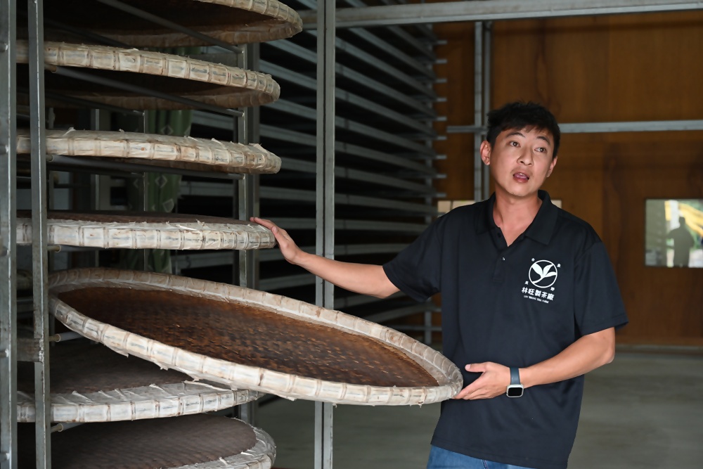 台東一日遊|林旺製茶廠 茶園生態導覽、參觀茶廠、紅烏龍茶沖泡教學! 台東一日遊|林旺製茶廠 茶園生態導覽、參觀茶廠、紅烏龍茶沖泡教學!