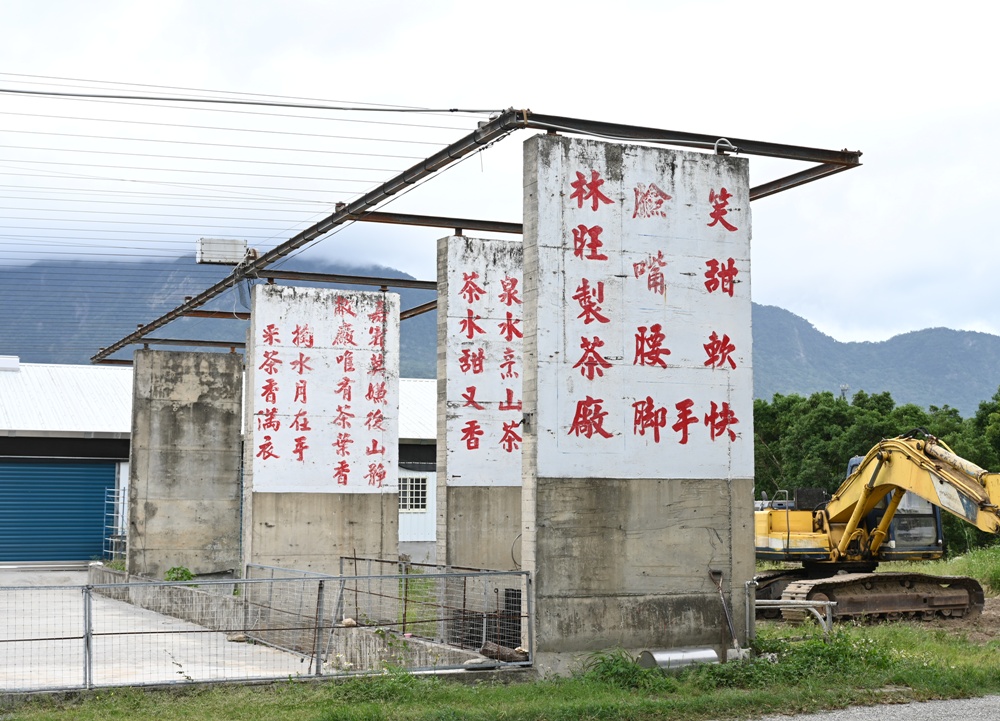 台東一日遊|林旺製茶廠 茶園生態導覽、參觀茶廠、紅烏龍茶沖泡教學! 台東一日遊|林旺製茶廠 茶園生態導覽、參觀茶廠、紅烏龍茶沖泡教學!