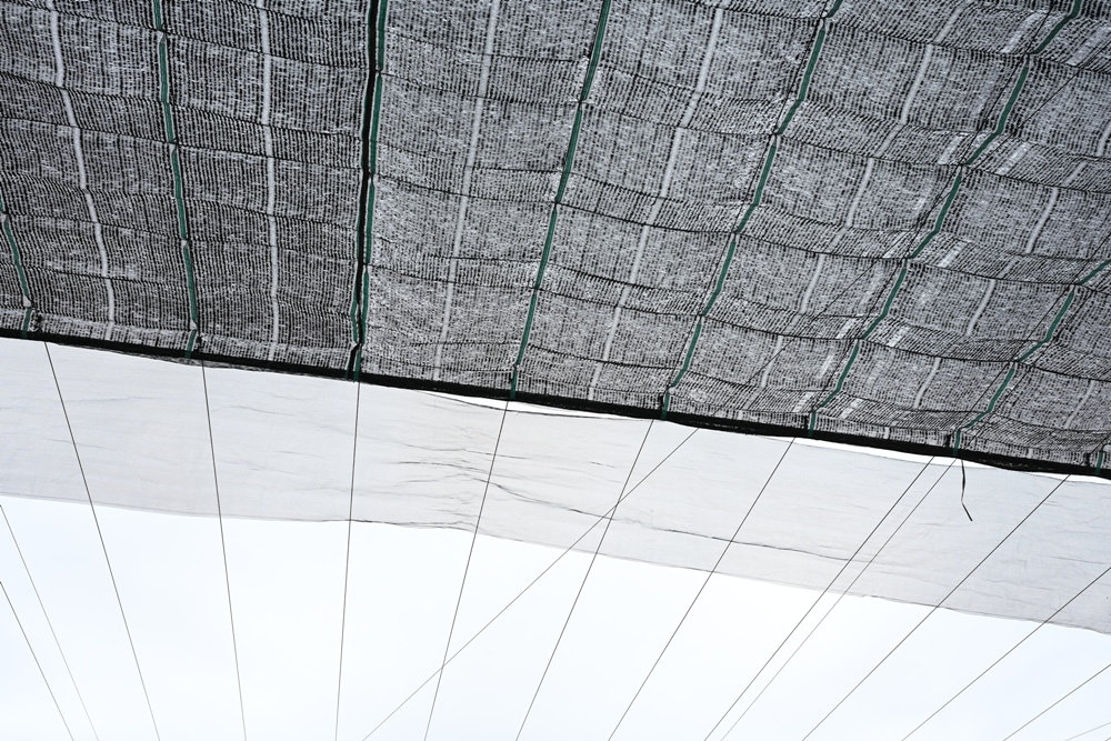 台東一日遊|林旺製茶廠 茶園生態導覽、參觀茶廠、紅烏龍茶沖泡教學! 台東一日遊|林旺製茶廠 茶園生態導覽、參觀茶廠、紅烏龍茶沖泡教學!