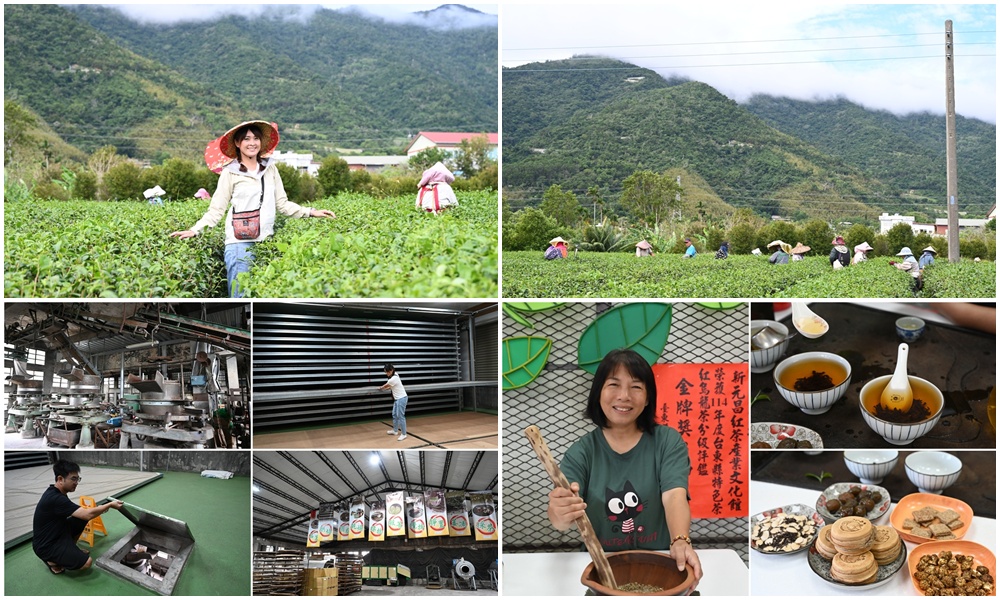 台東一日遊｜新元昌紅茶產業文化館 參觀茶園、茶廠、評鑑、擂茶！