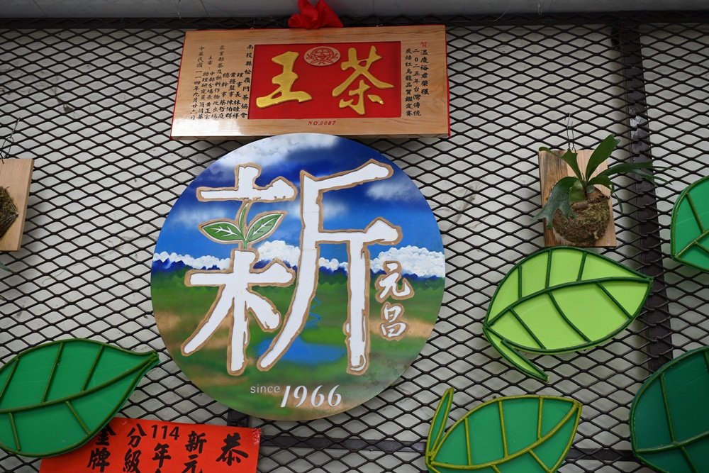 台東一日遊｜新元昌紅茶產業文化館 參觀茶園、茶廠、評鑑、擂茶！