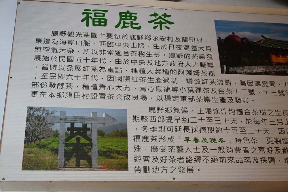 台東一日遊｜新元昌紅茶產業文化館 參觀茶園、茶廠、評鑑、擂茶！