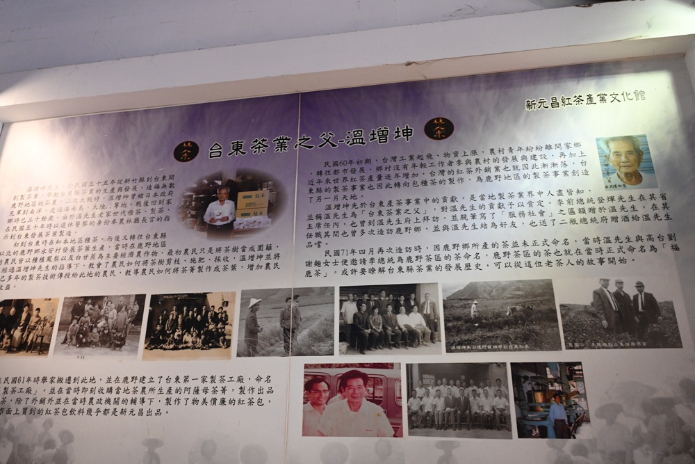台東一日遊｜新元昌紅茶產業文化館 參觀茶園、茶廠、評鑑、擂茶！