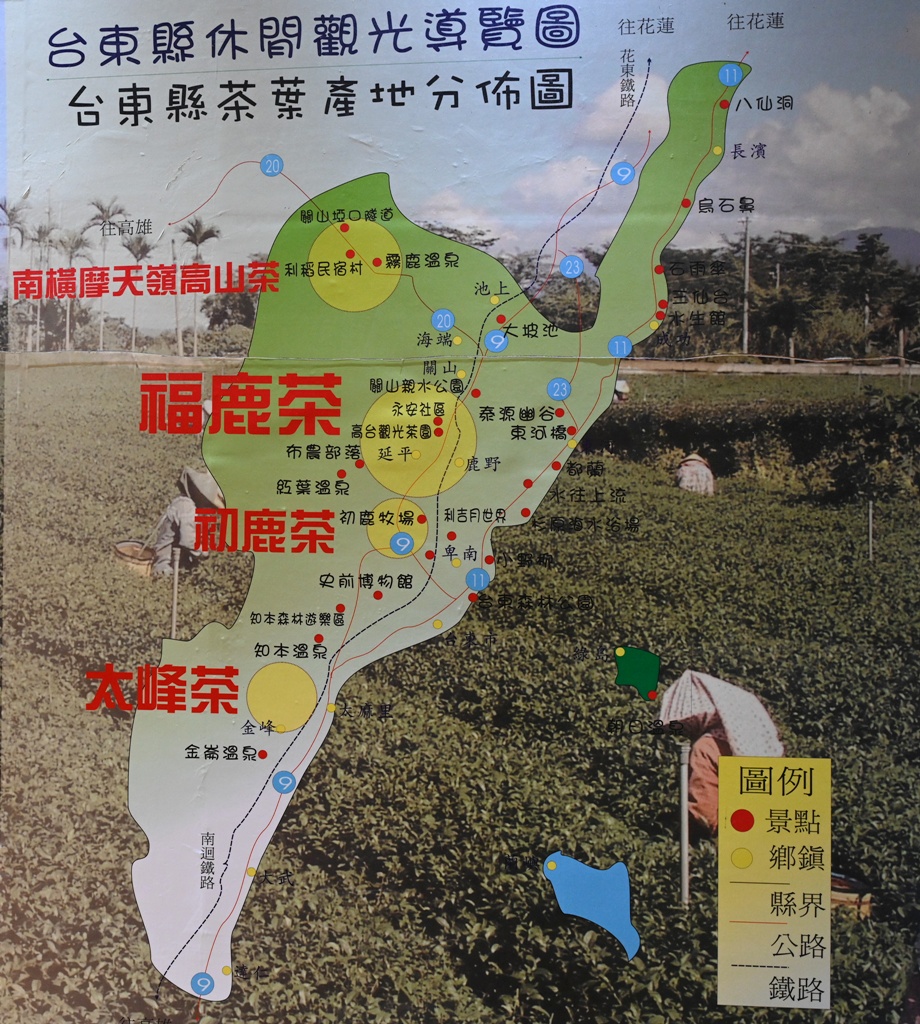 台東一日遊｜新元昌紅茶產業文化館 參觀茶園、茶廠、評鑑、擂茶！